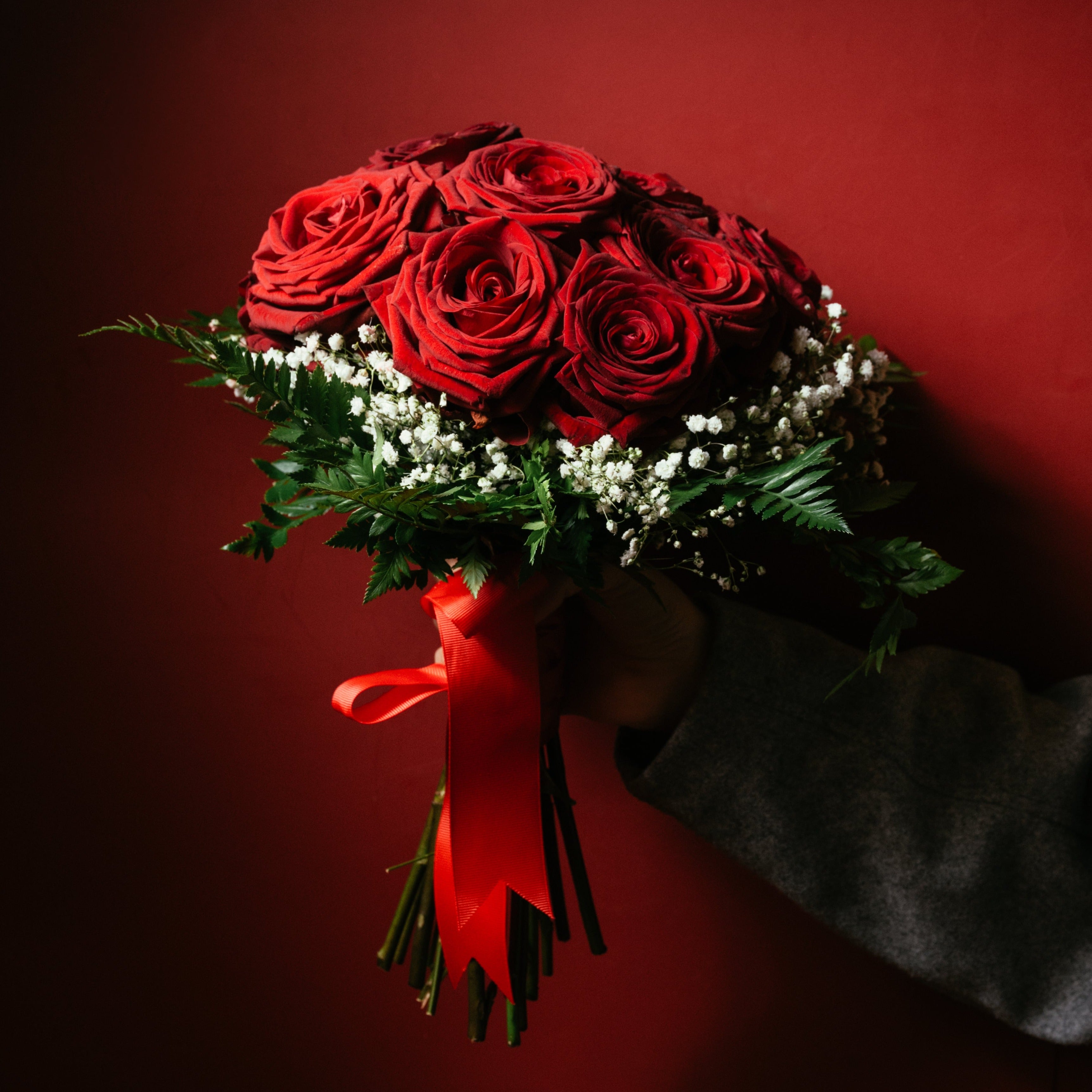 12 Red Roses, Gypsophila